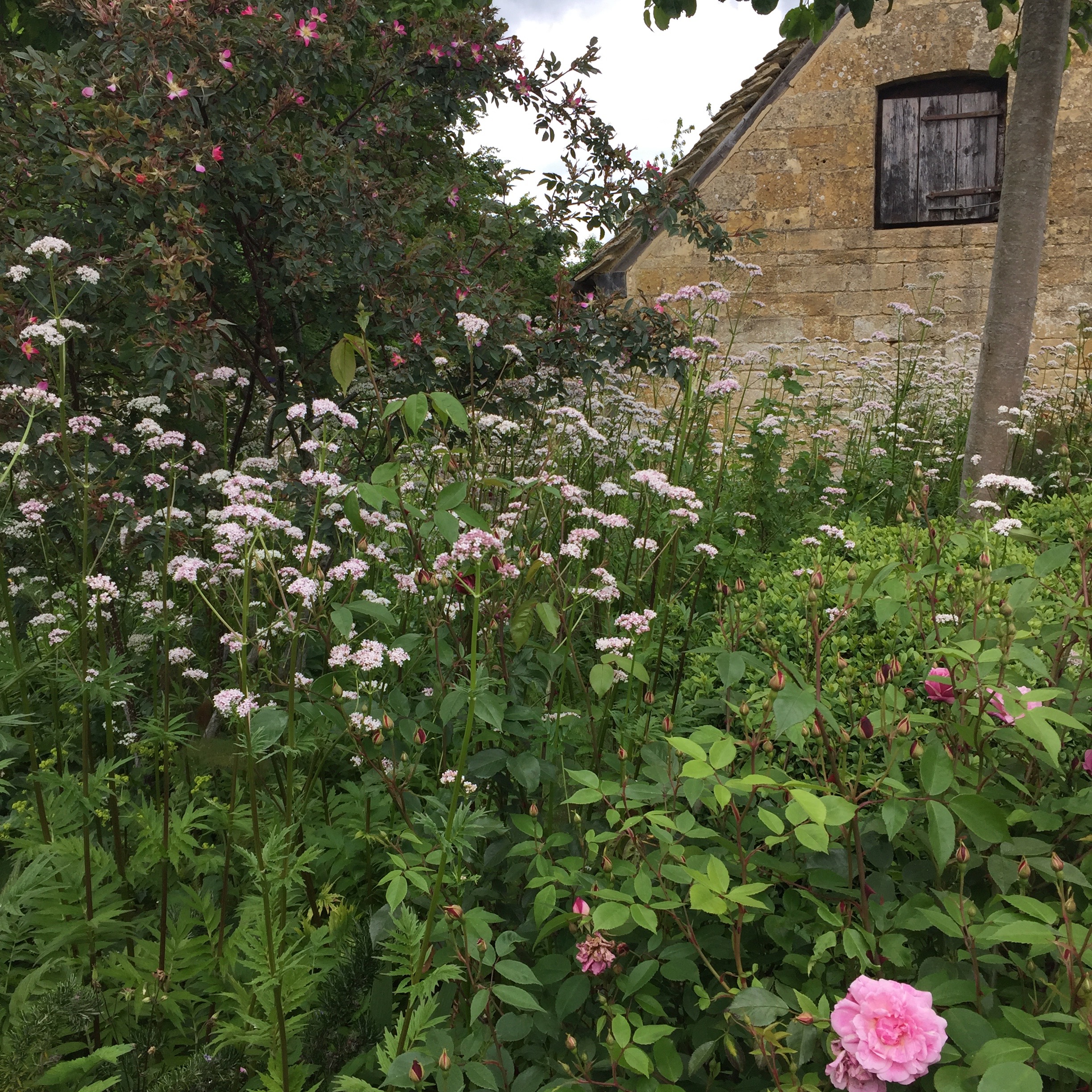 Jinny Blom S Garden At Temple Guiting Manor Annie Bee The Buzz Of A Like Minded Woman